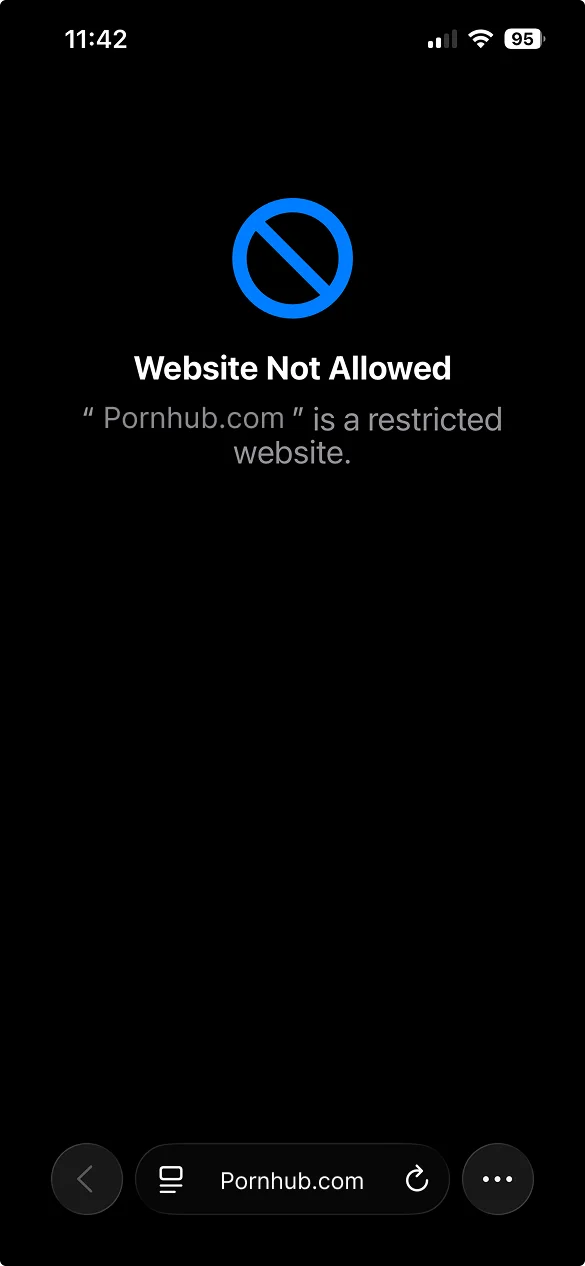 iOS restriction page showing that a requested adult website is not allowed