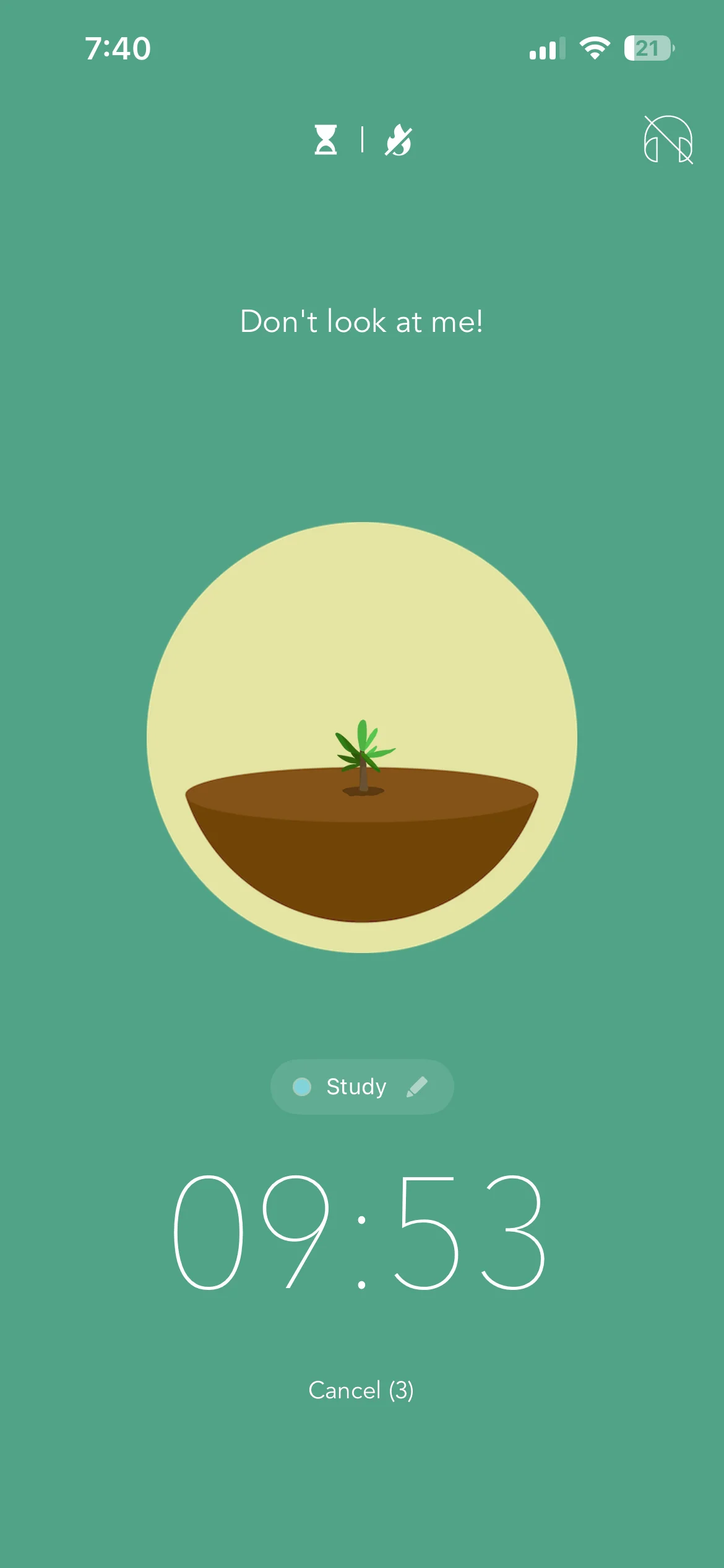 Forest active focus session showing a sprout growing while the countdown runs